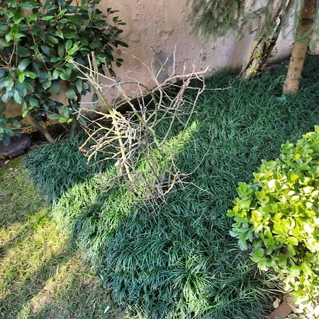 וילה Beyaz